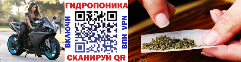 как найти наркотики  Лениногорск  Каннабис Ganja 
